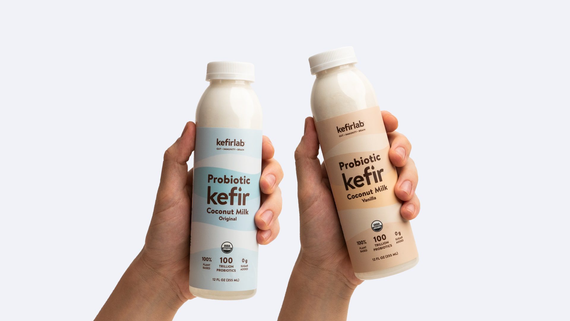 What is Coconut Kefir Everything you need to know Kefir Lab