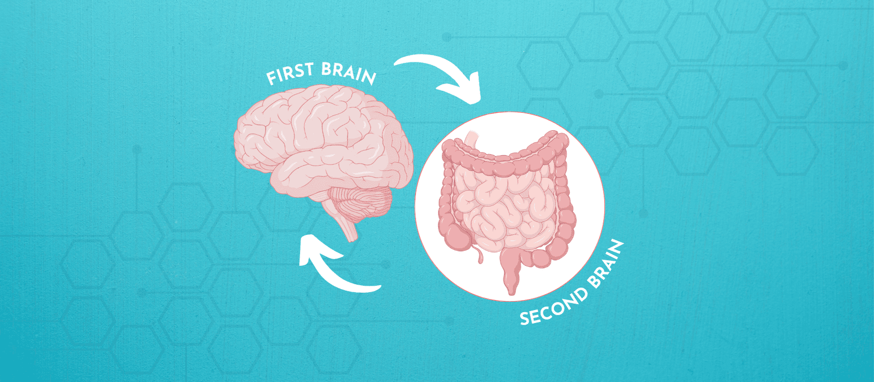 Gut Brain Connection Boost Your Health And Mind Kefir Lab